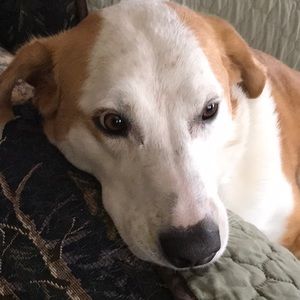 Meet your Posher, Sheila